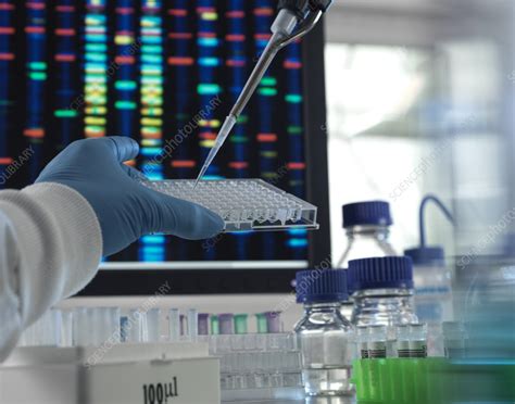 12.2: DNA Analysis .
